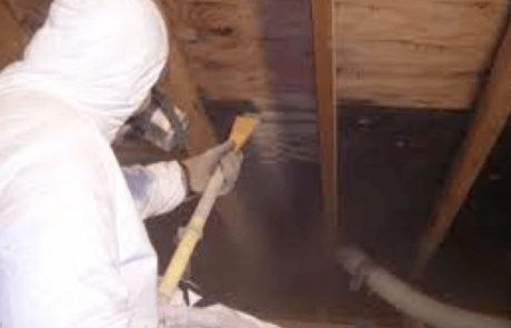 Mold removal services - Montreal & Laval