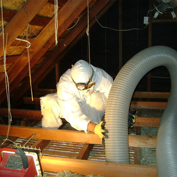 Vermiculite in attic - decontamination service