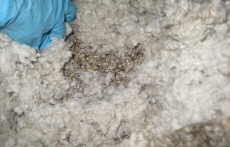 Décontamination amiante enlèvement vermiculite