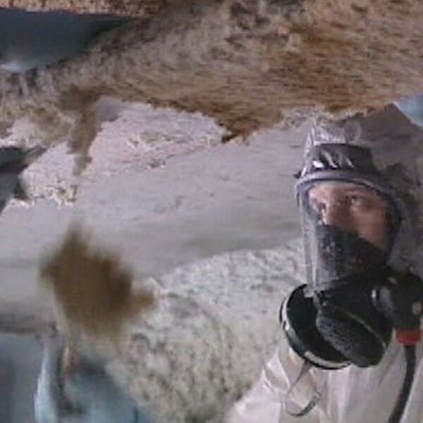 Entrepreneur général - enlèvement amiante plafonds - RénoVert