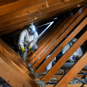Entrepreneur général - décontamination vermiculite Québec 02 - RénoVert
