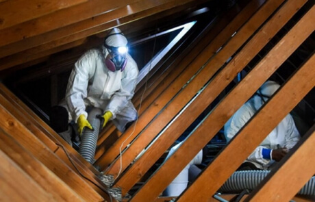 Prix - décontamination vermiculite Québec 02 - RénoVert