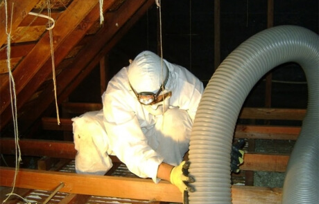 Prix - décontamination vermiculite Québec - RénoVert