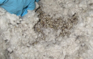 Entrepreneur général - vermiculite Montréal - RénoVert