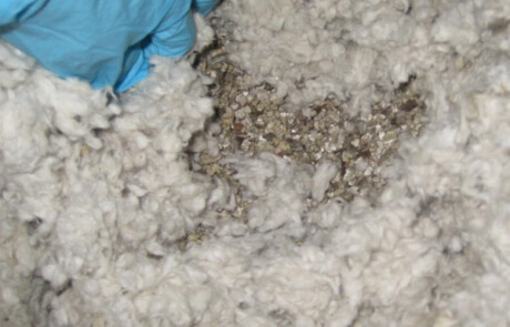 Prix - décontamination vermiculite Montréal - RénoVert