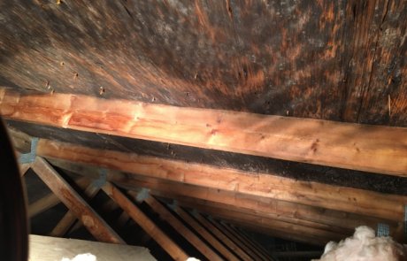 Moisissures dans l'entre toit