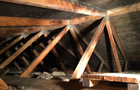 Moisissures dans les combles