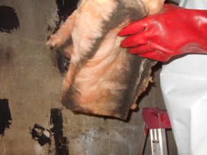 Isolation d'entretoit - laine minérale mouillée et moisie