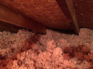 Isolation de toit, mauvaise ventilation des soffites Isolation de toit, mauvaise ventilation des soffites