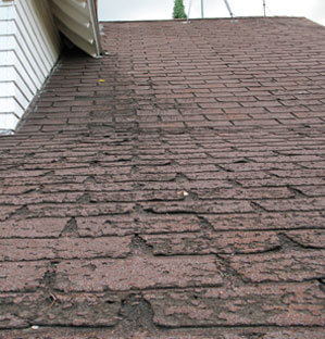 Réfection de toiture, bardeaux d'asphalte - usure