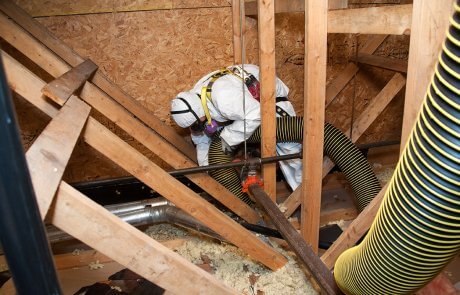 Décontamination de vermiculite dans l'entretoit, Drummondville