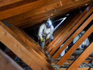Enlèvement de vermiculite Montréal, grenier