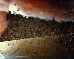 Analyse de vermiculite dans l'entretoit, Repentigny Analyse de vermiculite dans l'entretoit, Repentigny