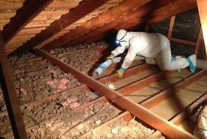 Prix, décontamination de vermiculite