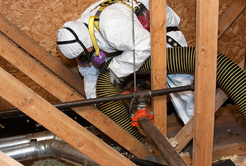 Emploi décontamination