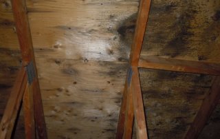 Emploi décontamination