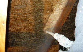 Emploi décontamination