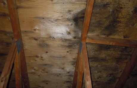 Décontamination de moisissures, entretoit - 2