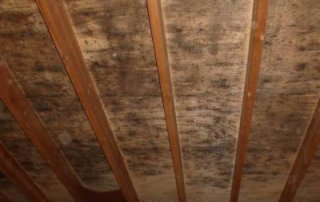 Décontamination de moisissures, entretoit