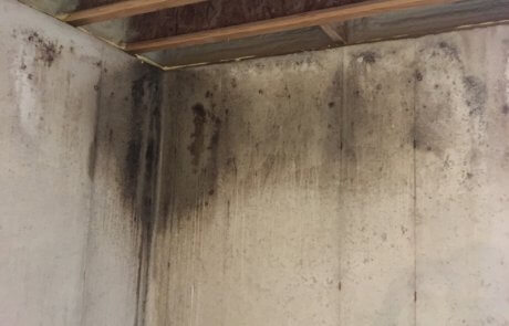Décontamination de moisissures sur le béton au sous-sol