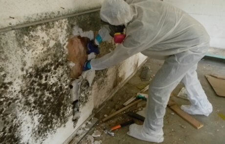 Décontamination de moisissures au sous-sol, démolition
