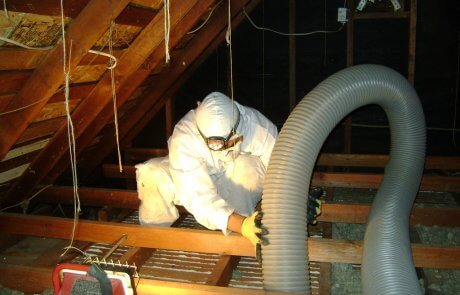 Décontamination de vermiculite, grenier